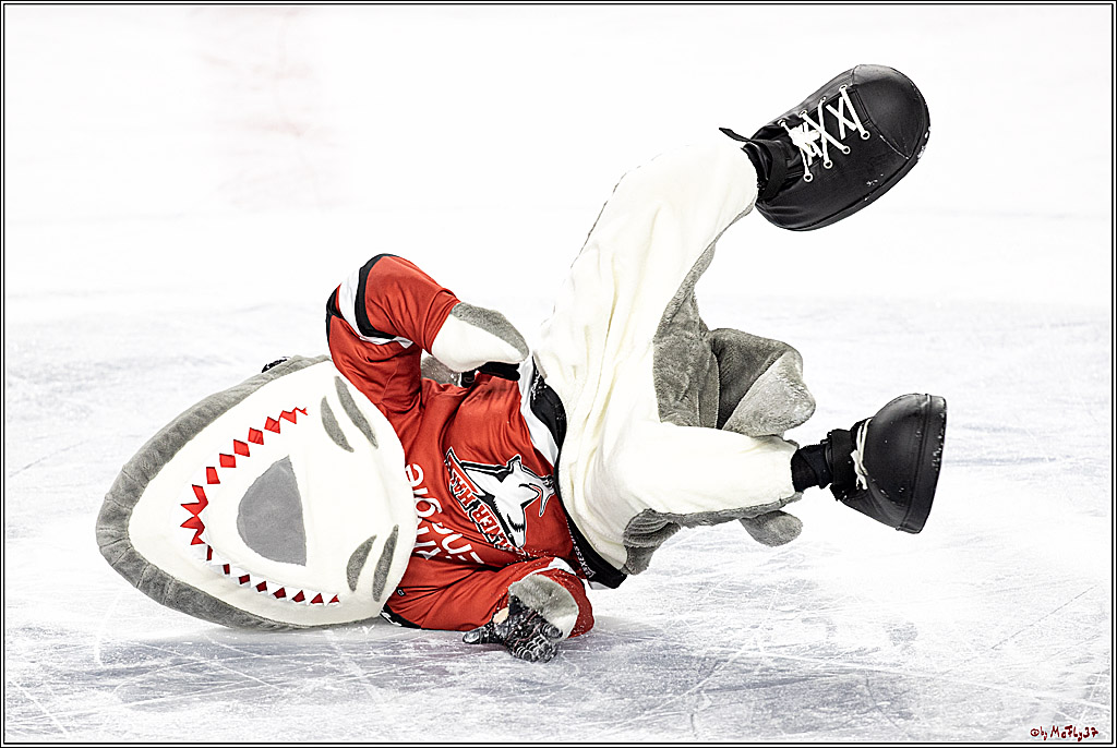 PENNY DEL;  Koelner Haie - Eisbaeren Berlin; Koeln, 28.12.2021